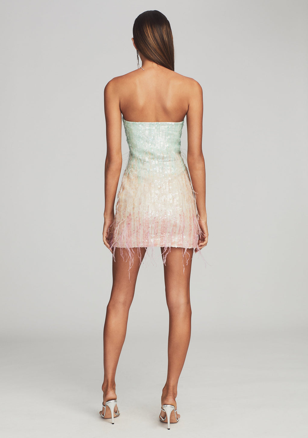 Anastasia Sequin Feather Dress