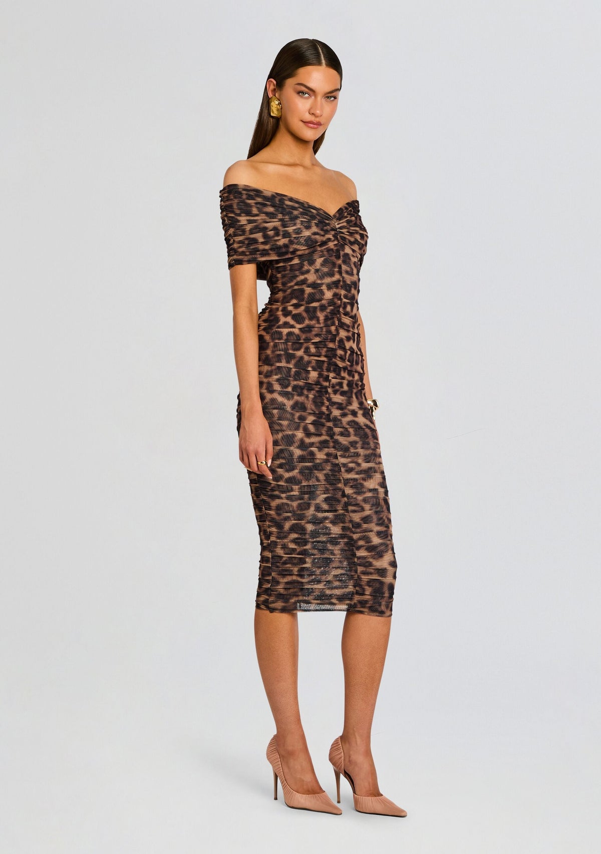 Gianina Mesh Midi Dress
