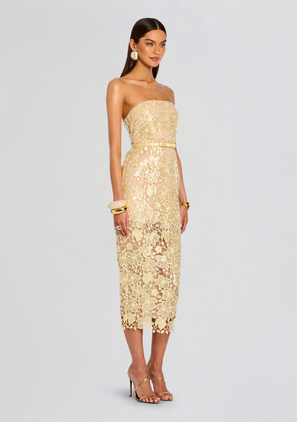Rowena Sequin Lace Dress
