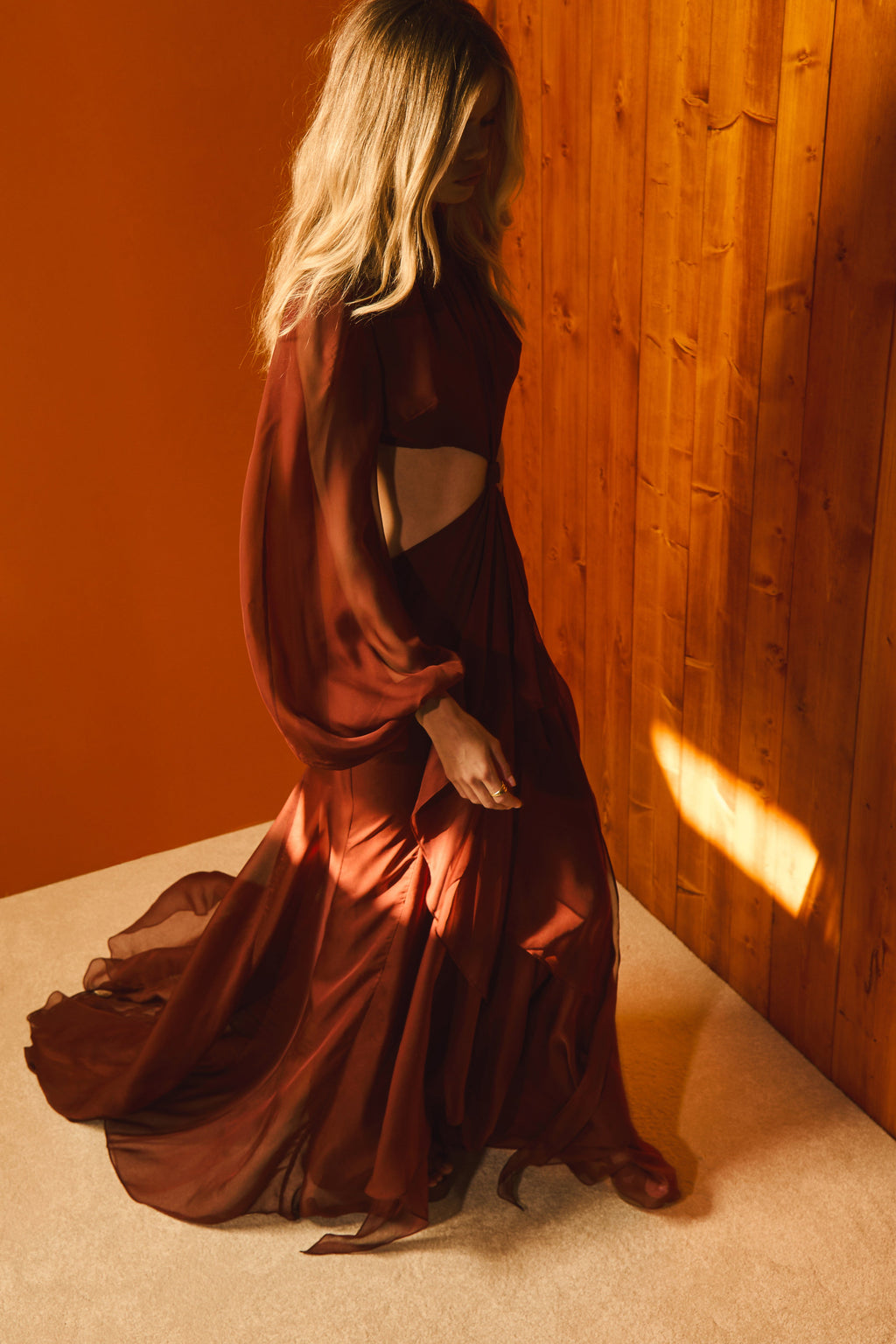 Rosalinda Chiffon Dress